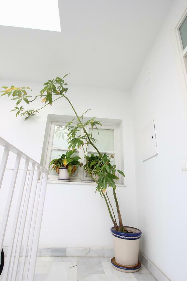 Apartamento Centro San Luis Sevilha Exterior foto